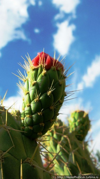 Разбойничье ущелье