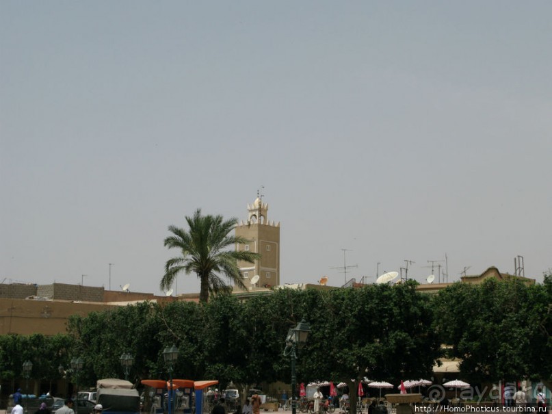 Козы на деревьях