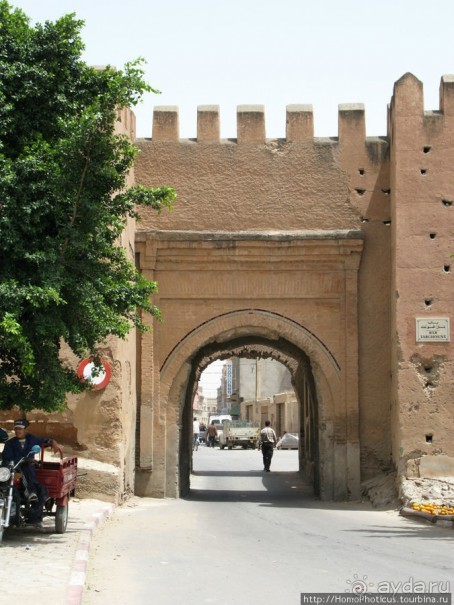 Козы на деревьях