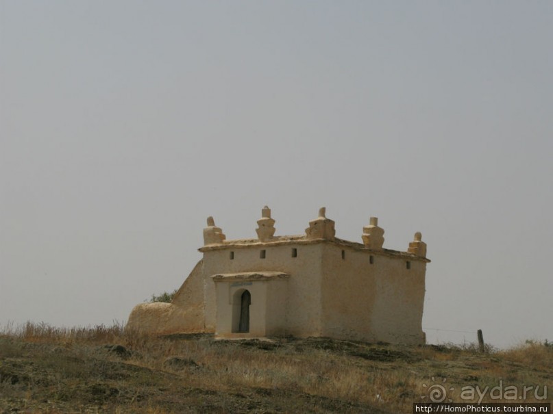 Козы на деревьях