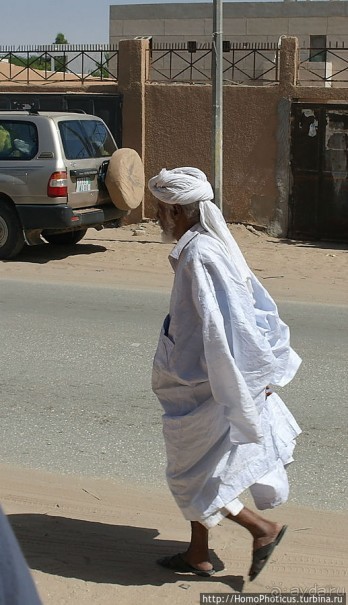 Мавританцы