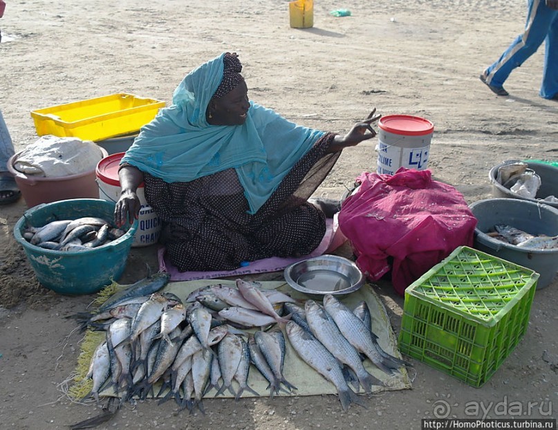 Мавританцы