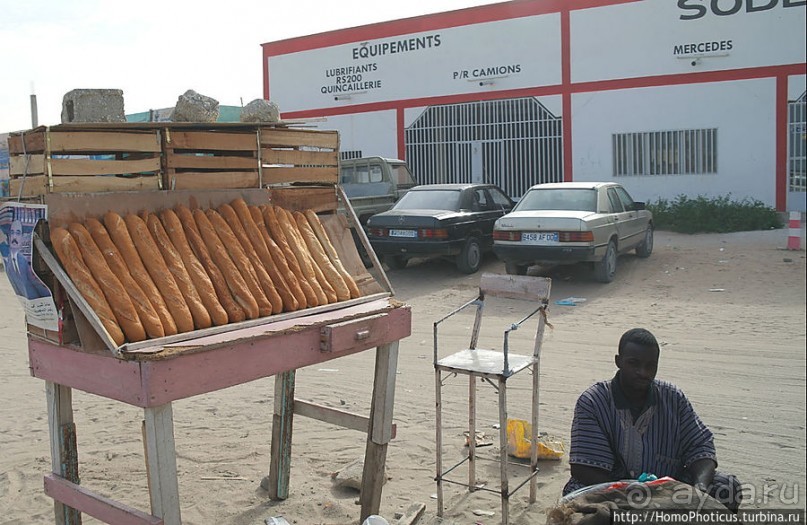 Мавританцы