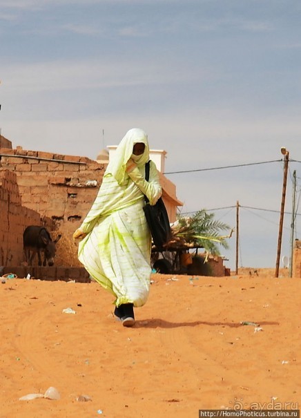 Мавританцы