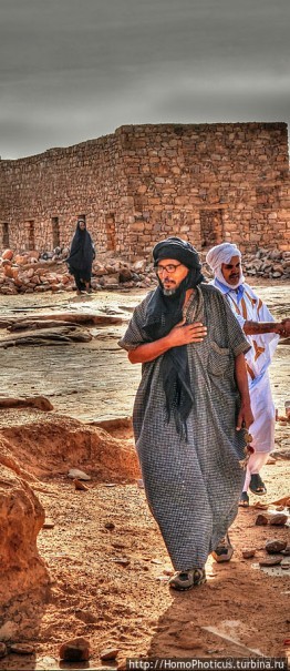 Мавританцы