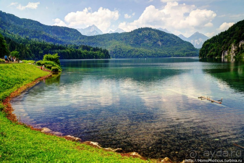 Альбом отзыва "Незаслуженно обиженный Хоэншвангау"