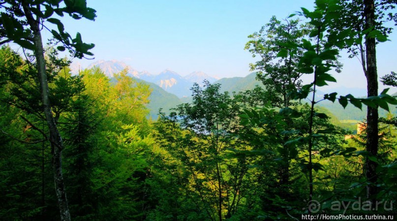 Альбом отзыва "Незаслуженно обиженный Хоэншвангау"