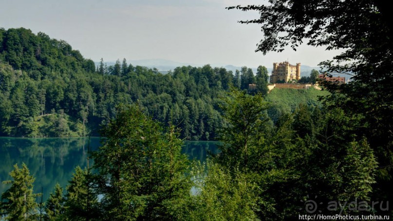 Альбом отзыва "Незаслуженно обиженный Хоэншвангау"