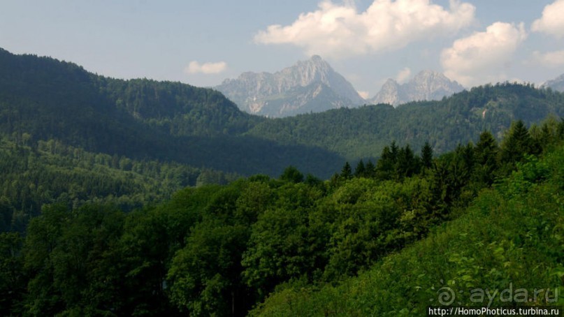Альбом отзыва "Незаслуженно обиженный Хоэншвангау"
