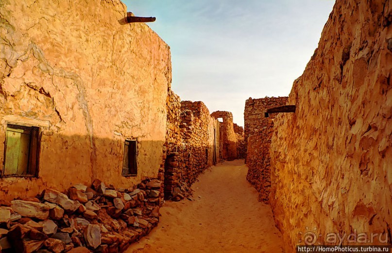 На улицах Шингетти