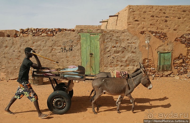 На улицах Шингетти