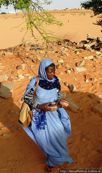 На улицах Шингетти