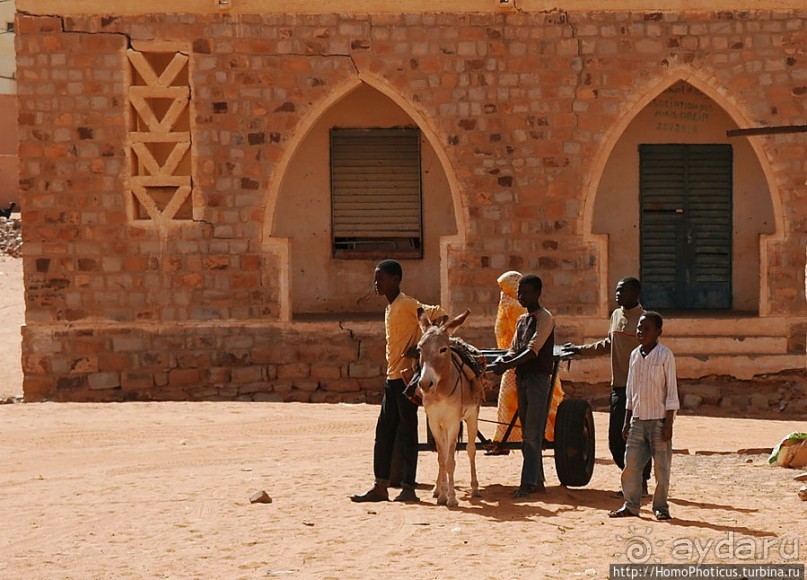 На улицах Шингетти