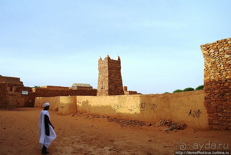 На улицах Шингетти