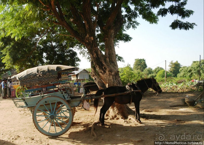 Неоднократная столица