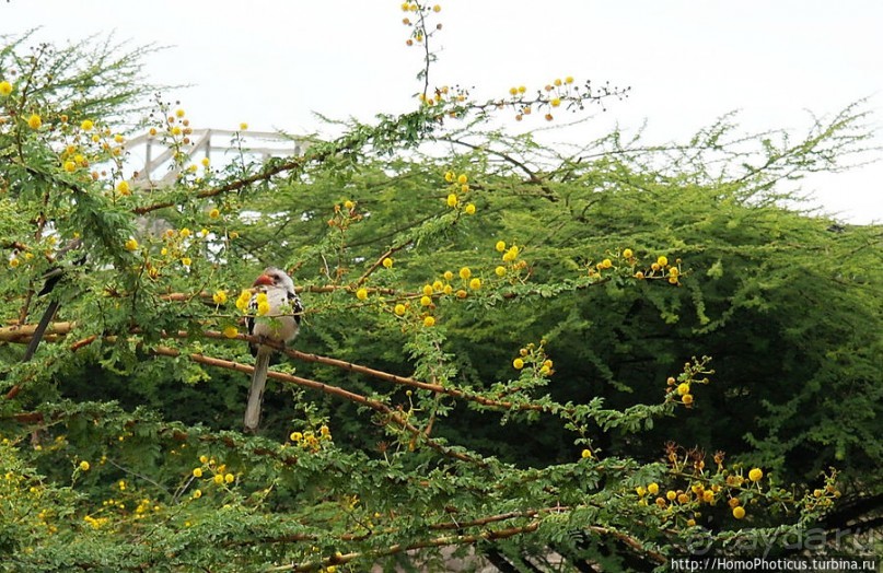 В гостях у сеньора Феррари... на озере Лангано!