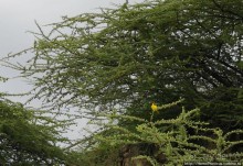 В гостях у сеньора Феррари... на озере Лангано!
