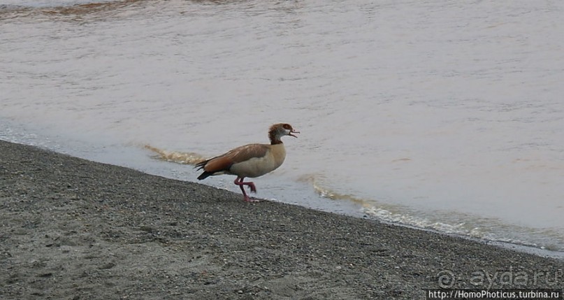 В гостях у сеньора Феррари... на озере Лангано!