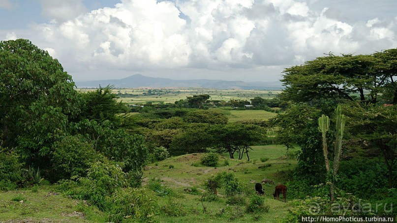 В гостях у сеньора Феррари... на озере Лангано!