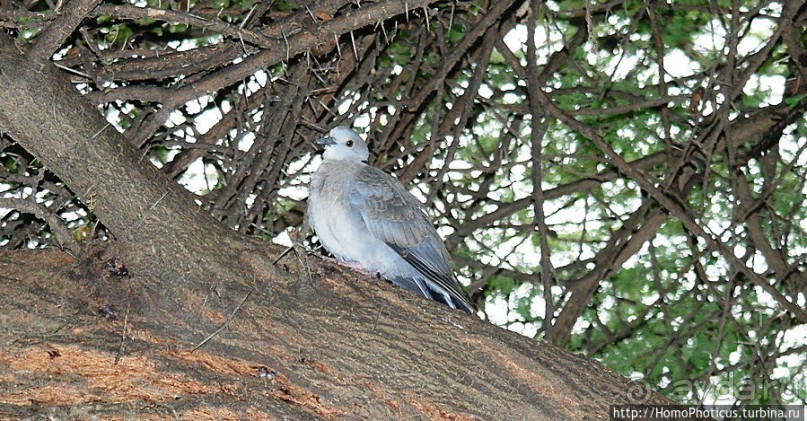 В гостях у сеньора Феррари... на озере Лангано!