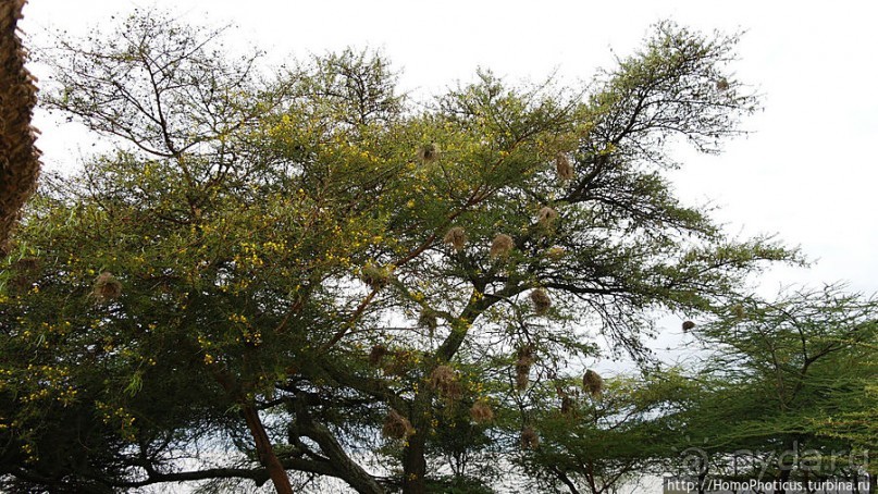 В гостях у сеньора Феррари... на озере Лангано!