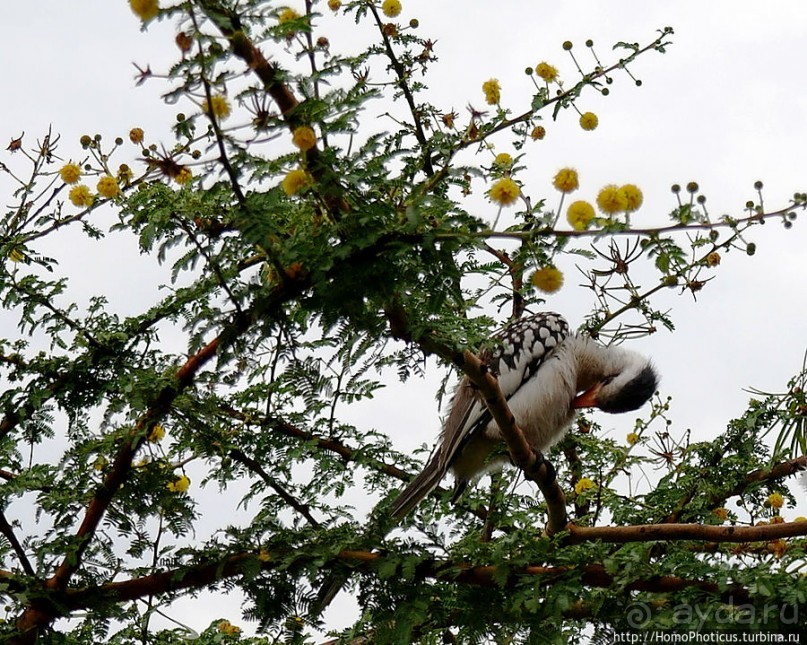 В гостях у сеньора Феррари... на озере Лангано!