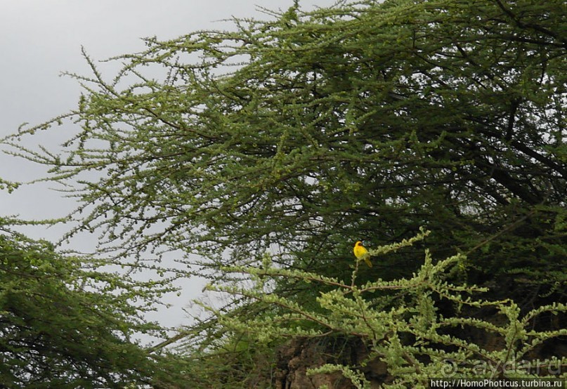 В гостях у сеньора Феррари... на озере Лангано!