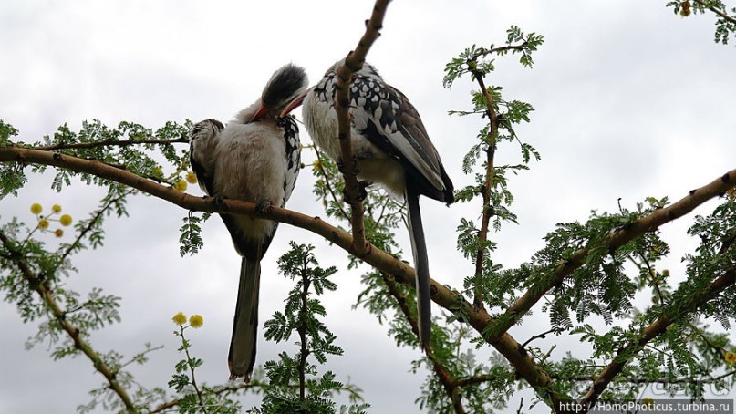 В гостях у сеньора Феррари... на озере Лангано!