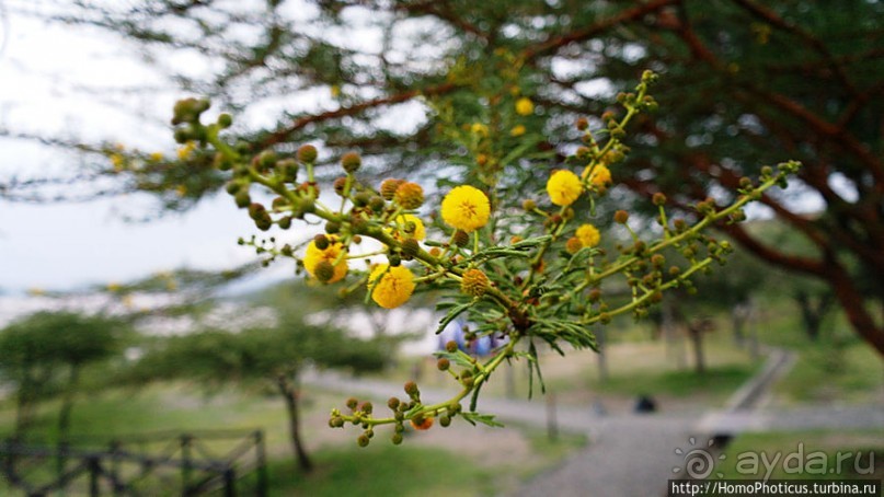 В гостях у сеньора Феррари... на озере Лангано!