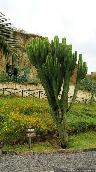 В гостях у сеньора Феррари... на озере Лангано!