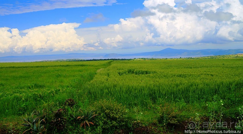 В гостях у сеньора Феррари... на озере Лангано!