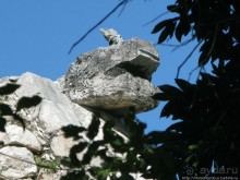 "Чикен-Пицца"