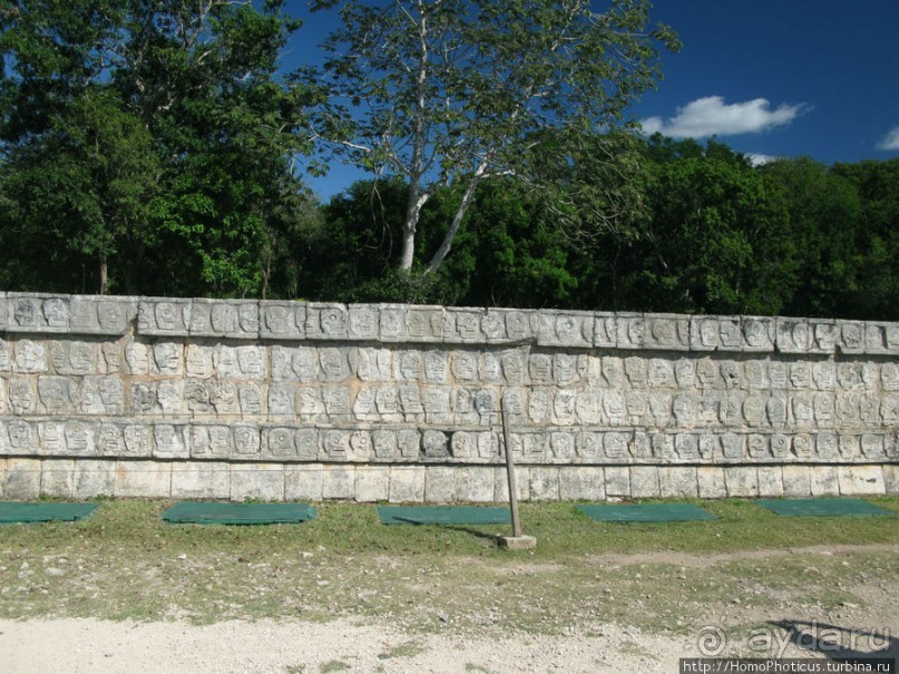 "Чикен-Пицца"