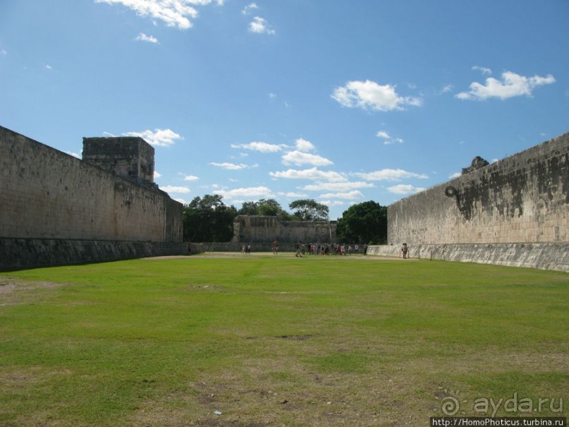 "Чикен-Пицца"