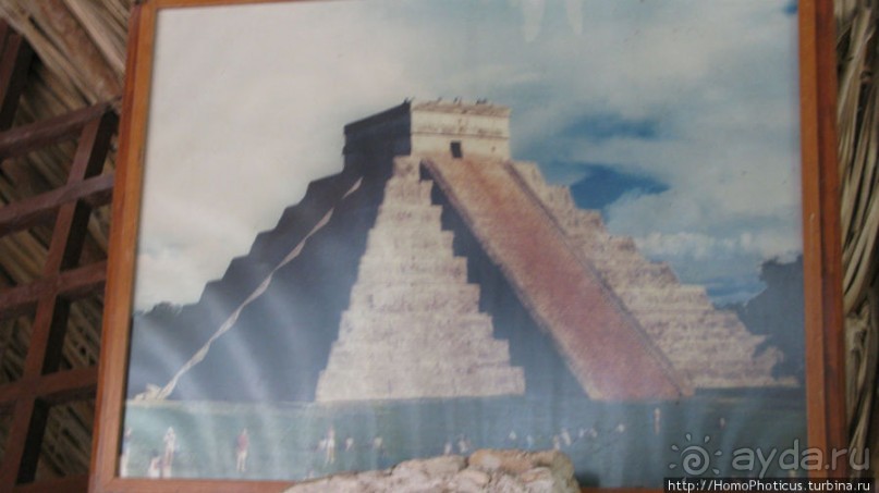 "Чикен-Пицца"