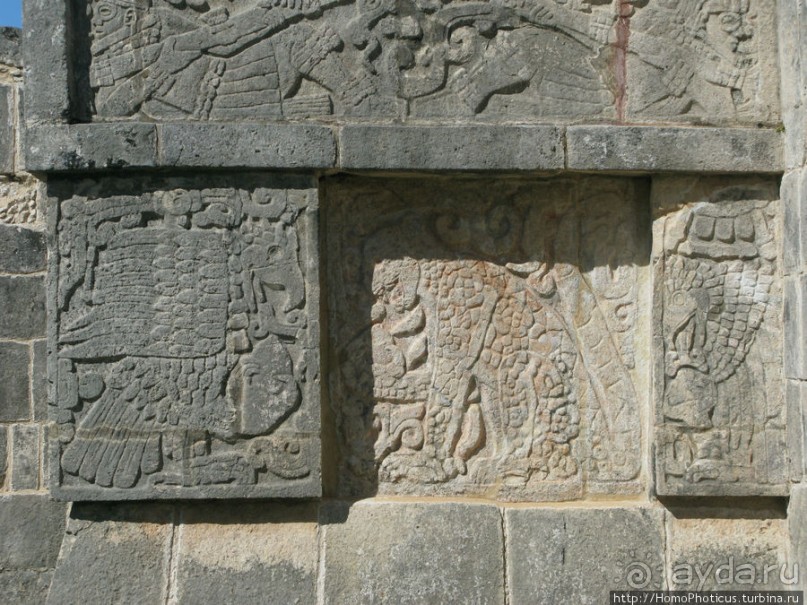 "Чикен-Пицца"