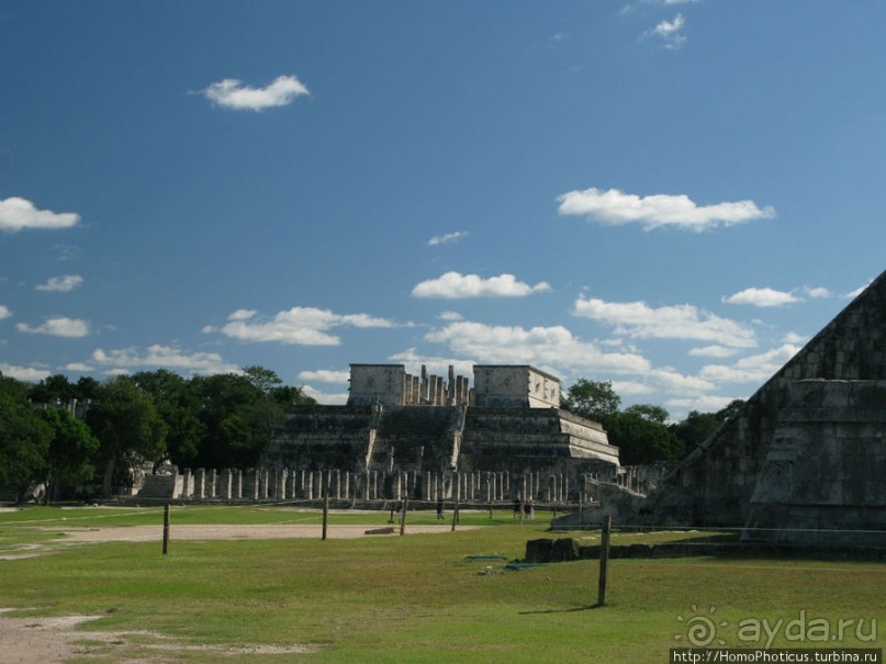 "Чикен-Пицца"