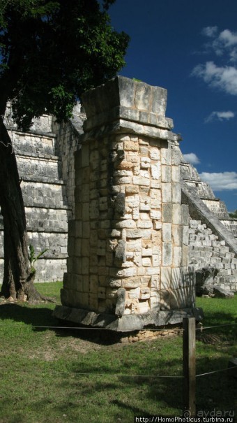 "Чикен-Пицца"