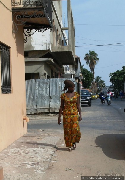 Сенегальцы