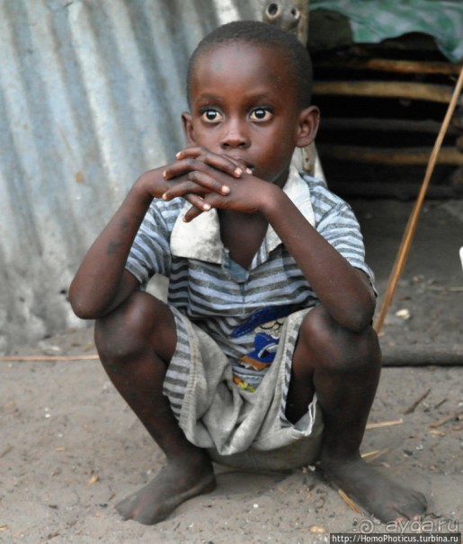 Сенегальцы