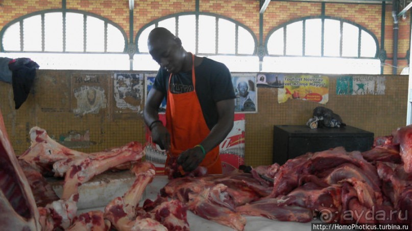 Сенегальцы