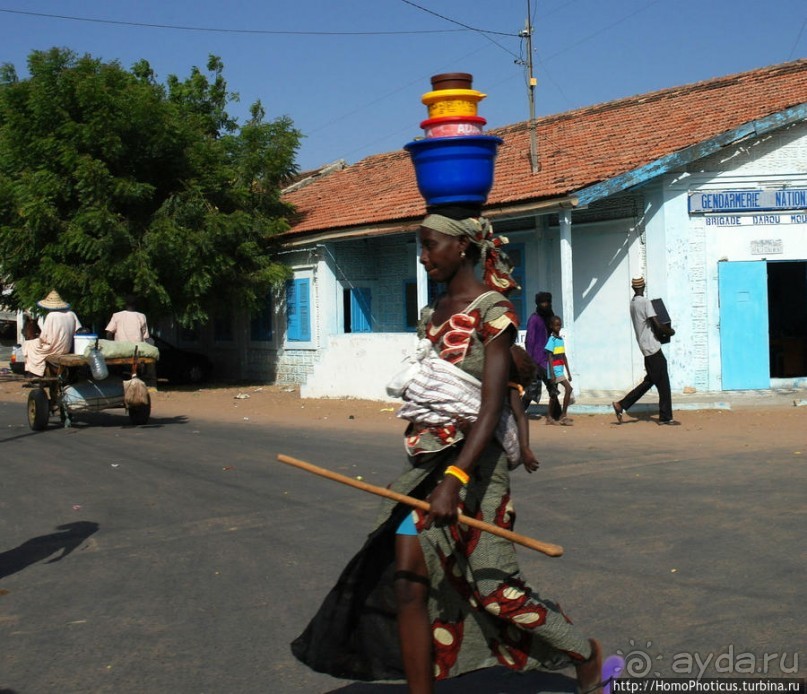 Сенегальцы
