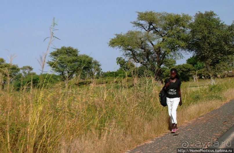 Сенегальцы