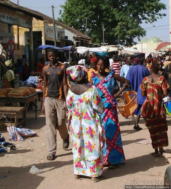 Сенегальцы