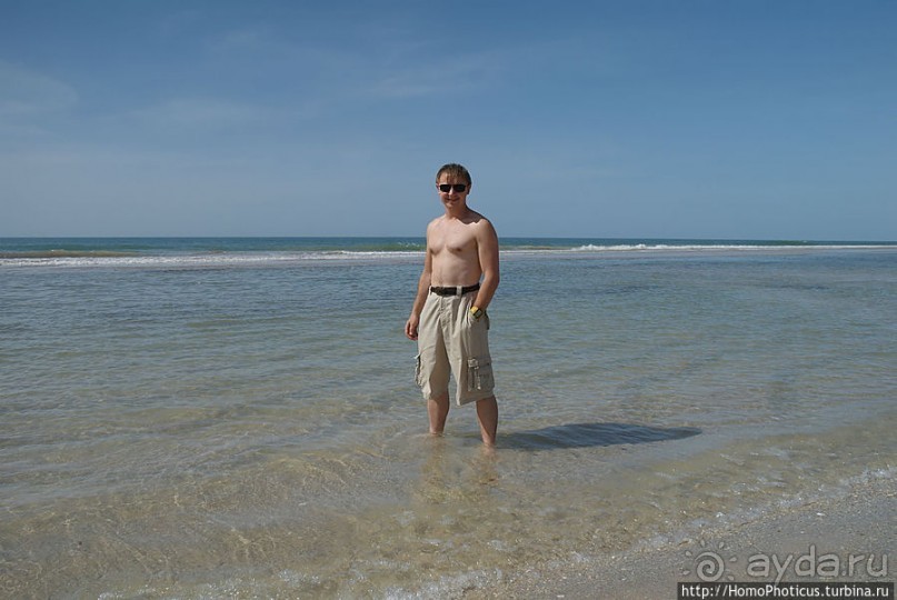 Вдоль полосы прибоя