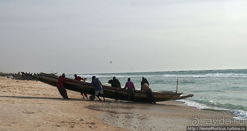 Вдоль полосы прибоя
