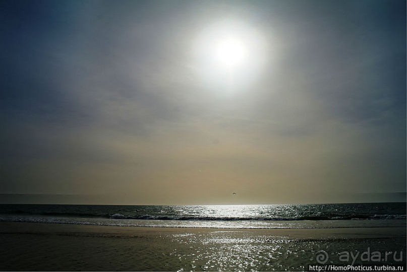 Вдоль полосы прибоя