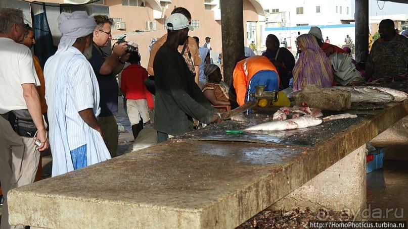 Вдоль полосы прибоя