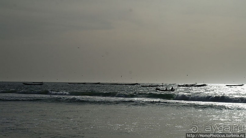 Вдоль полосы прибоя