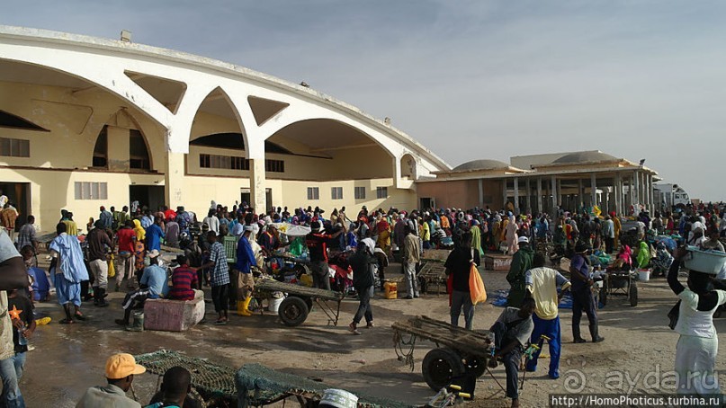 Вдоль полосы прибоя